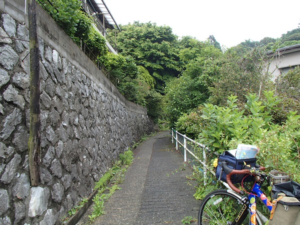 急な桜峠道
