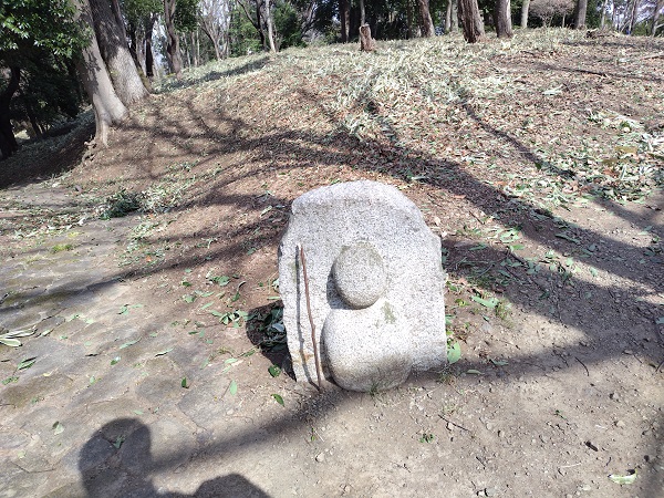 �J�������̐�