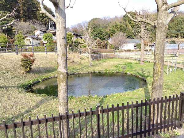 �ߌ��쌹���̐�