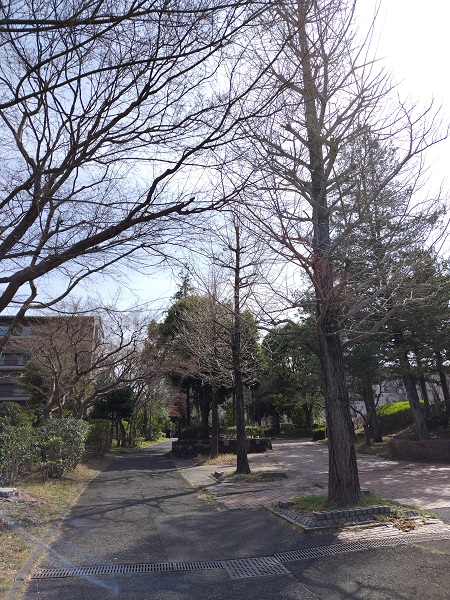 �L���u�̔�����