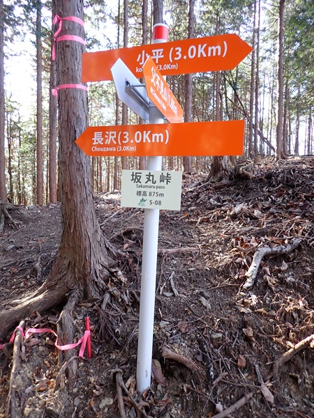 坂丸峠周辺にある真新しい標識