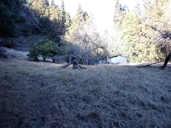 杉ノ峠道の途中