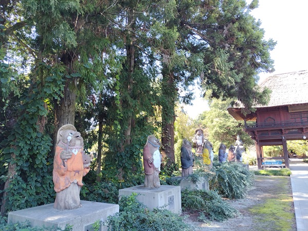 茂林寺のタヌキ達