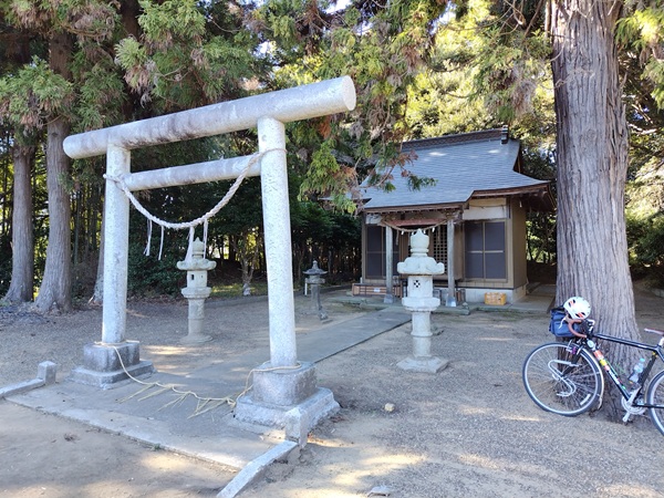 氷川神社