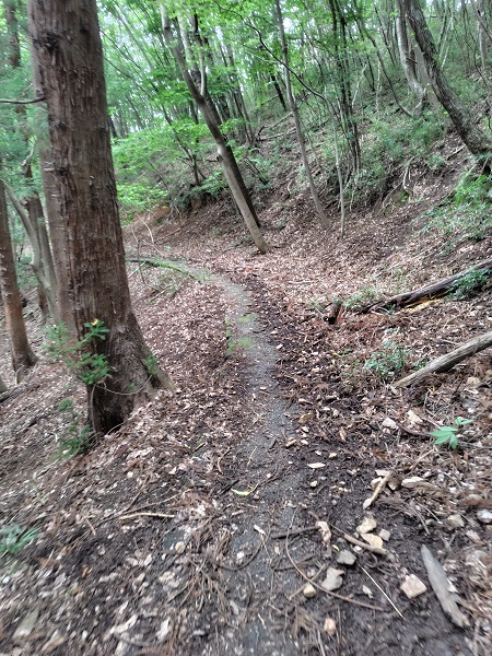 ���q����